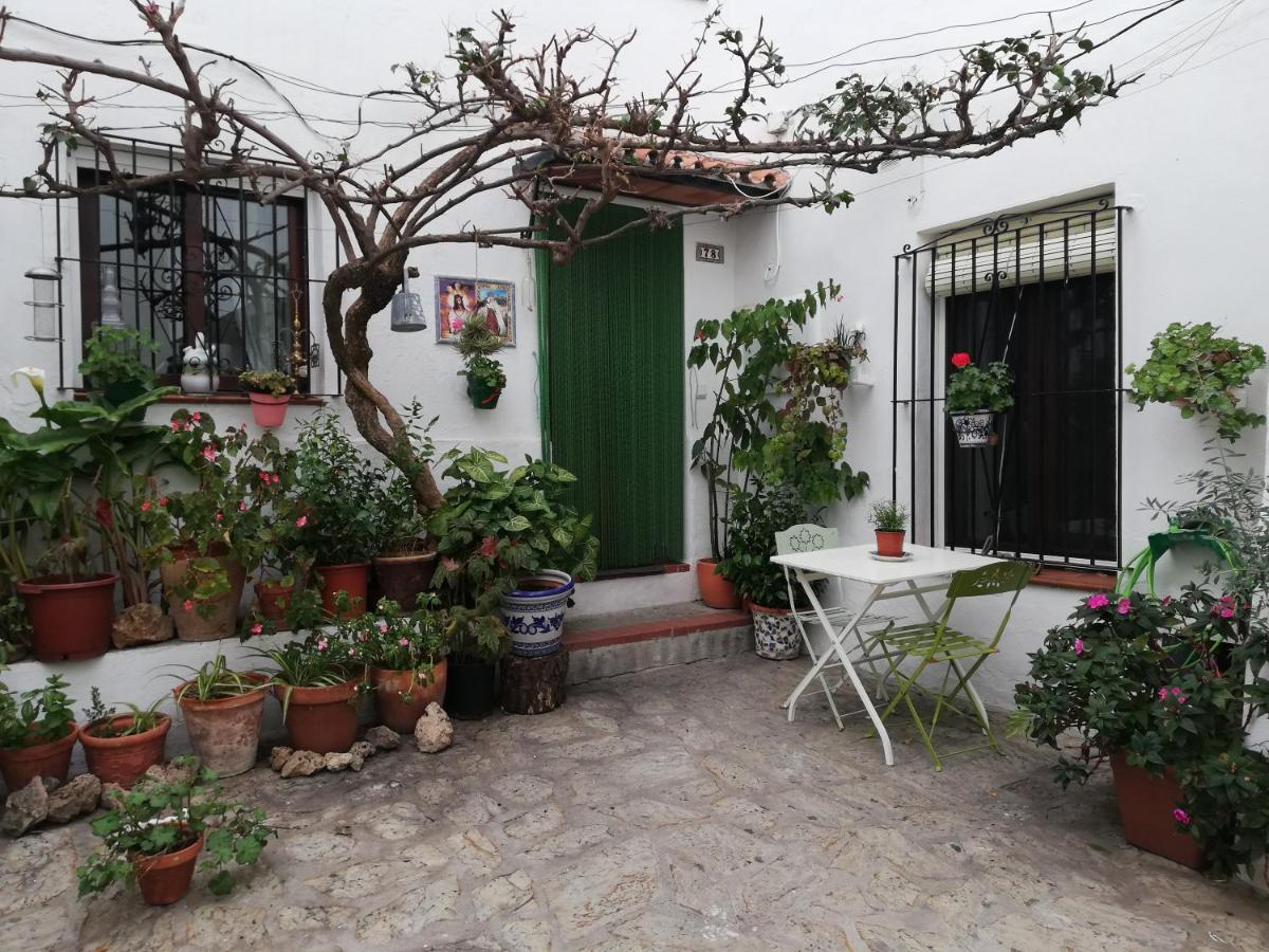 La Buganvilla De Juana Y Antonio Casares Zewnętrze zdjęcie