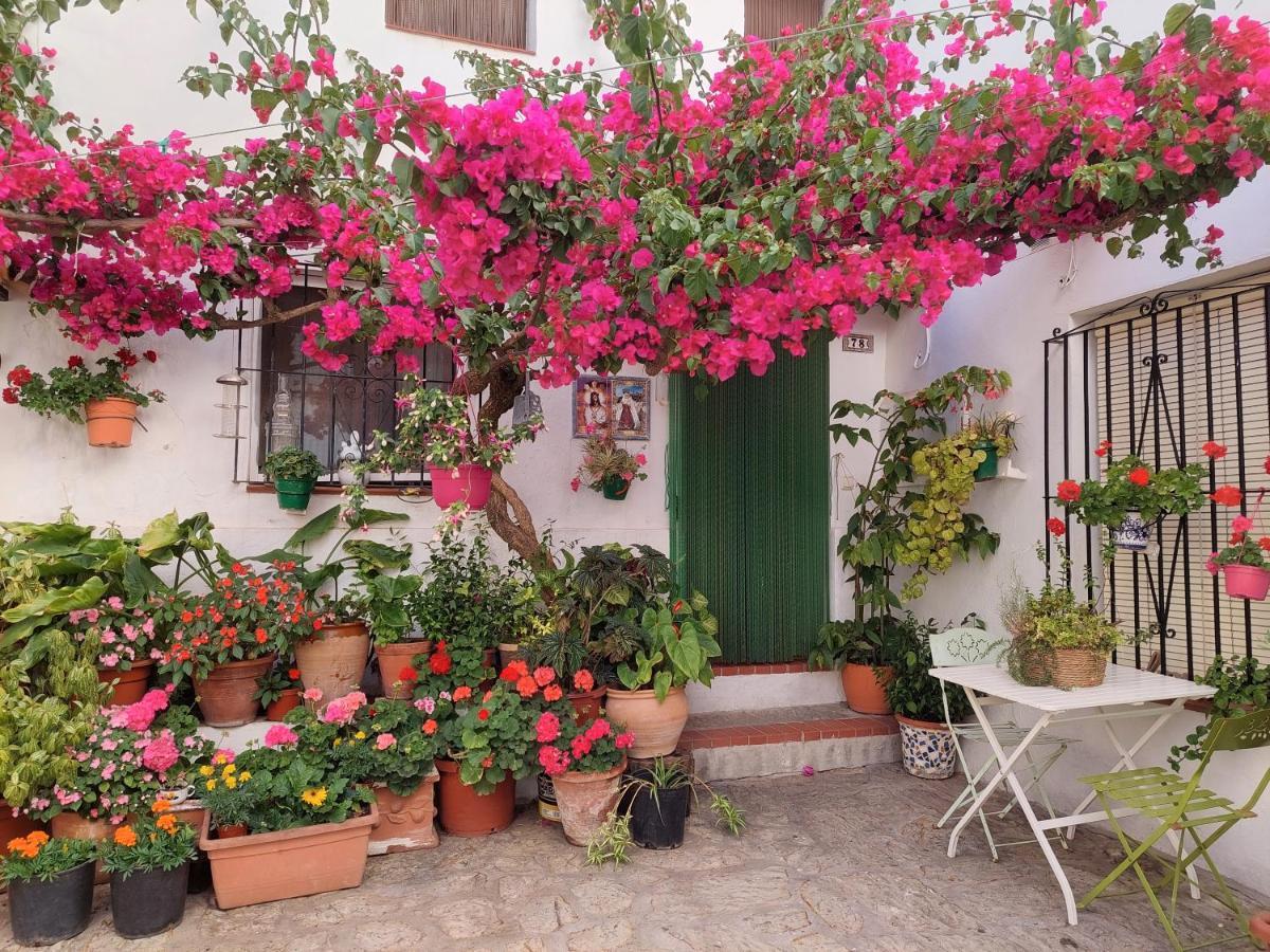 La Buganvilla De Juana Y Antonio Casares Zewnętrze zdjęcie